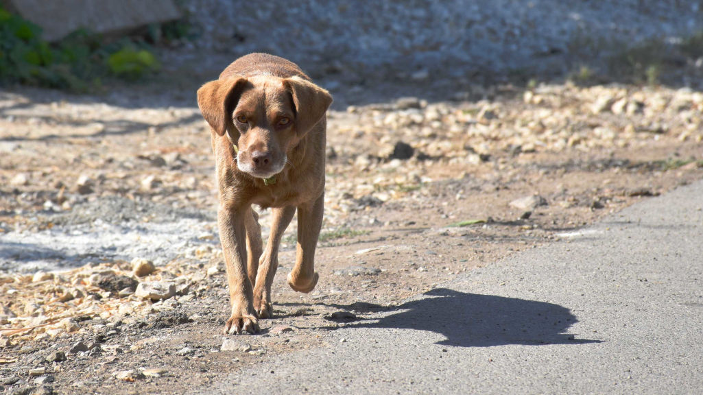 Эксклюзивный рейтинг в XXI веке