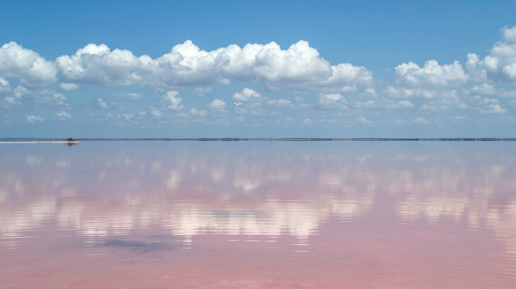 Из ряда вон выходящий фирменный стиль: предпосылки и развитие