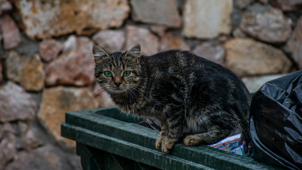Потребительский жизненный цикл продукции: методология и особенности