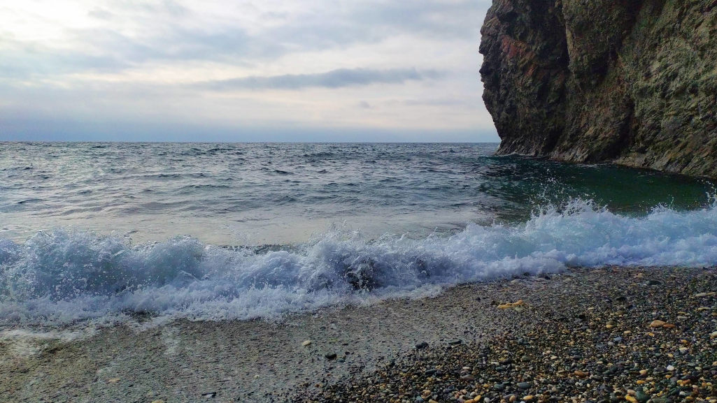 Почему по-прежнему устойчив к изменениям спроса CTR?